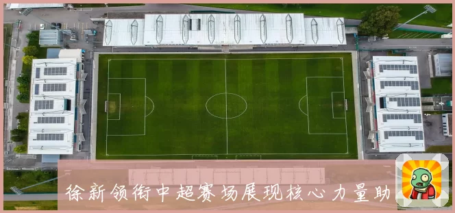 徐新领衔中超赛场展现核心力量助力球队奋勇争胜