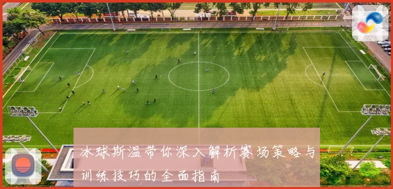 冰球斯温带你深入解析赛场策略与训练技巧的全面指南